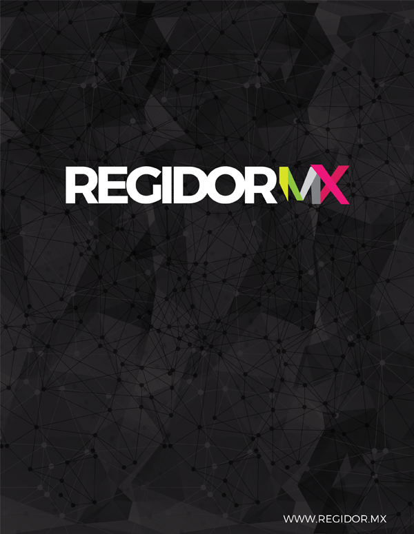 InformeRegidorMX2015