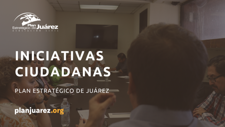 INICIATIVAS CIUDADANAS