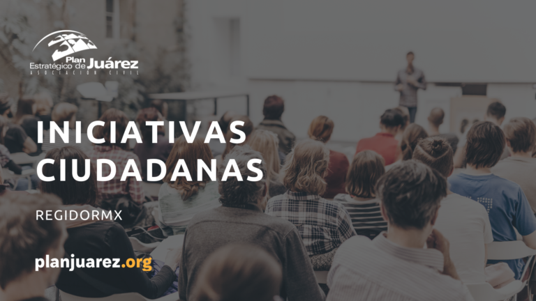 INICIATIVAS CIUDADANAS (1)