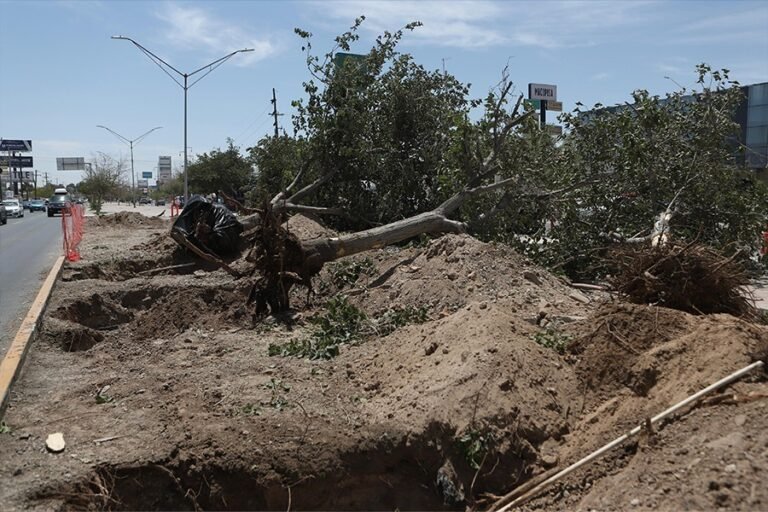 ley ambiental