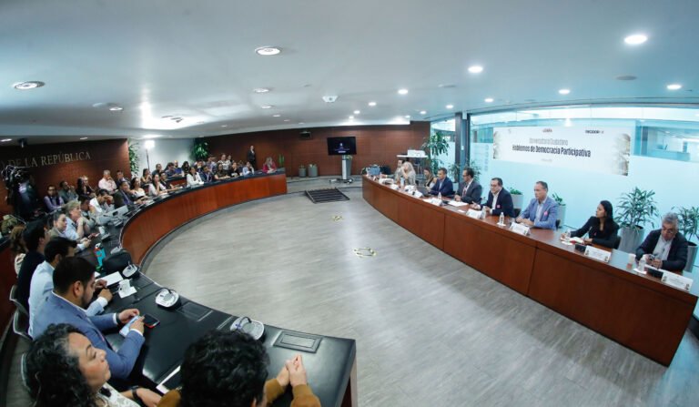 Participación ciudadana
