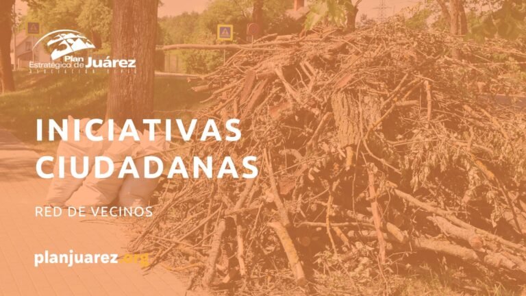 INICIATIVAS CIUDADANAS