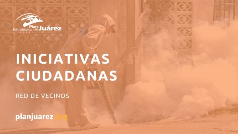 INICIATIVAS CIUDADANAS