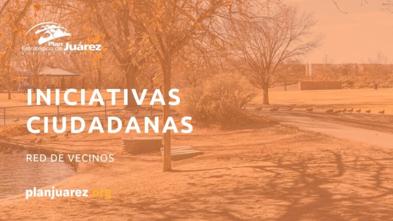 INICIATIVAS CIUDADANAS